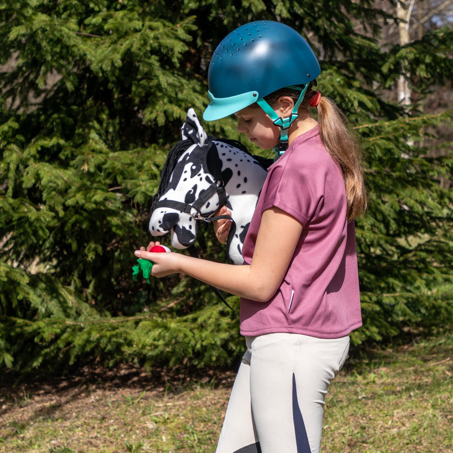 Hobby Horse mit Halfter und Zügel – Rappschecke (A3) – Bild 3